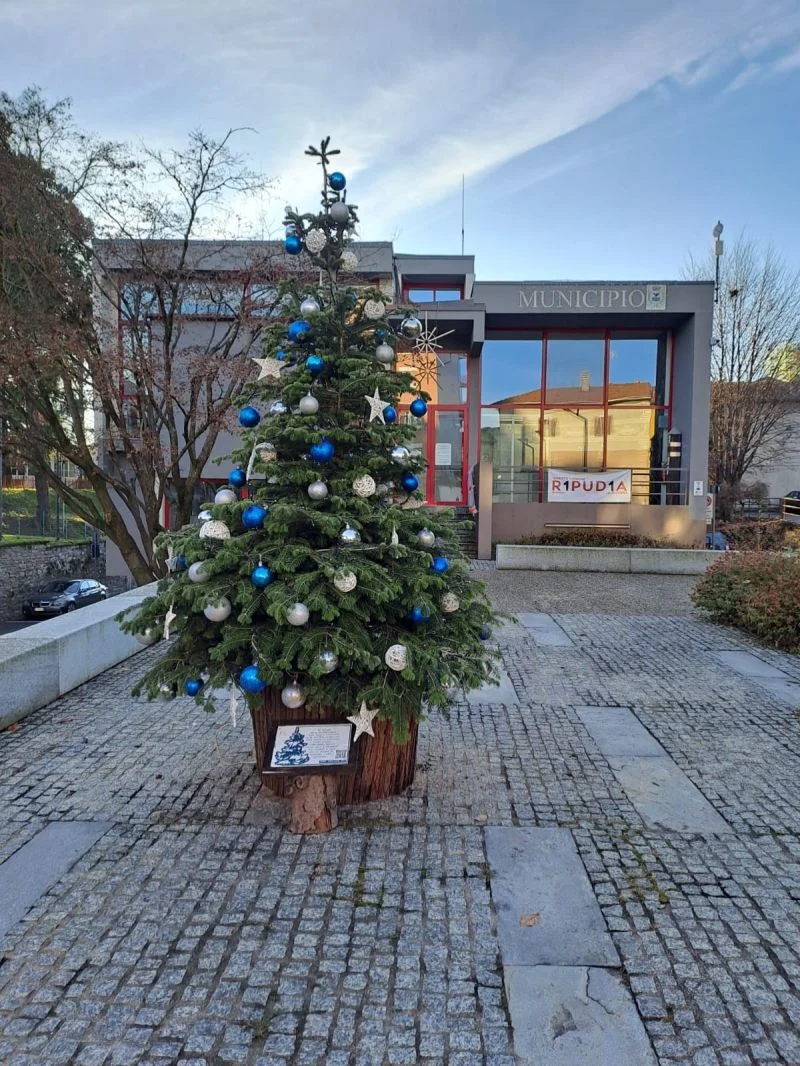 SPENDE WEIHNACHTSBAUM